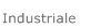 Industriale
